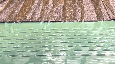 Gutter protection service image